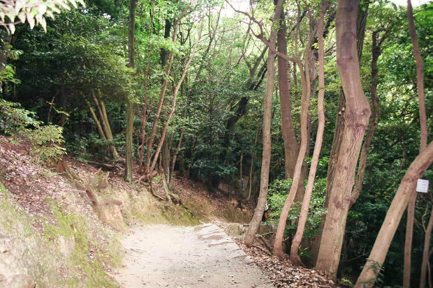 �⍑��Q
(620�~413pixel,94.2KB)