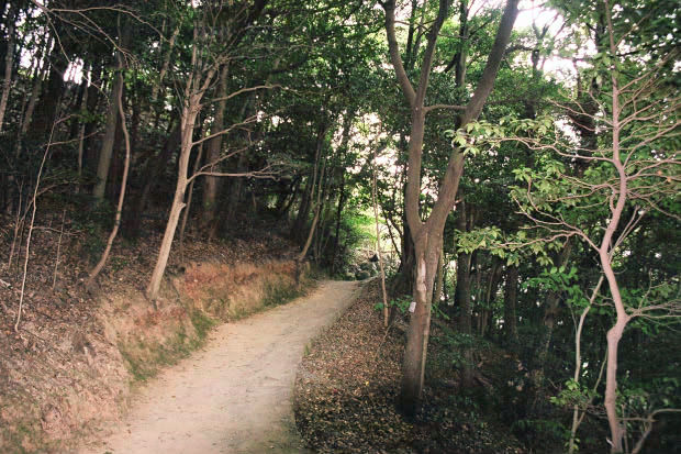 �⍑��Q
(620�~413pixel,88.9KB)