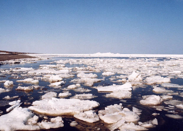 �����
(620�~444pixel,49.2KB)