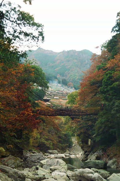 �c�J�̂����狴
(413�~620pixel,67.1KB)