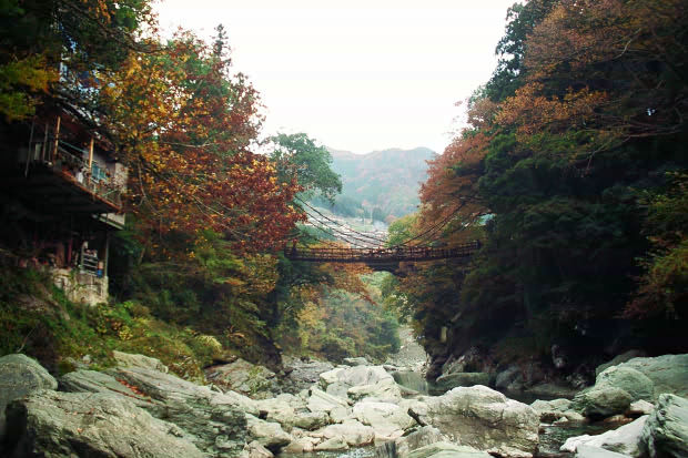 �c�J�̂����狴
(620�~413pixel,68.3KB)