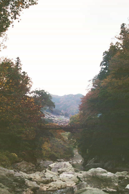 �c�J�̂����狴
(413�~620pixel,45.1KB)