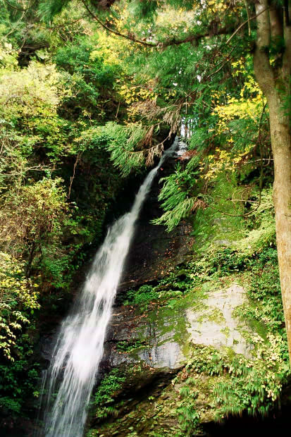 �c�J�̂����狴
(413�~620pixel,105.7KB)