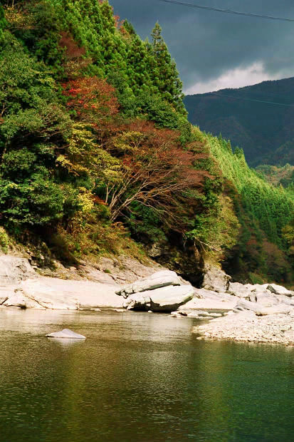 �c�J�̂����狴
(413�~620pixel,80.0KB)