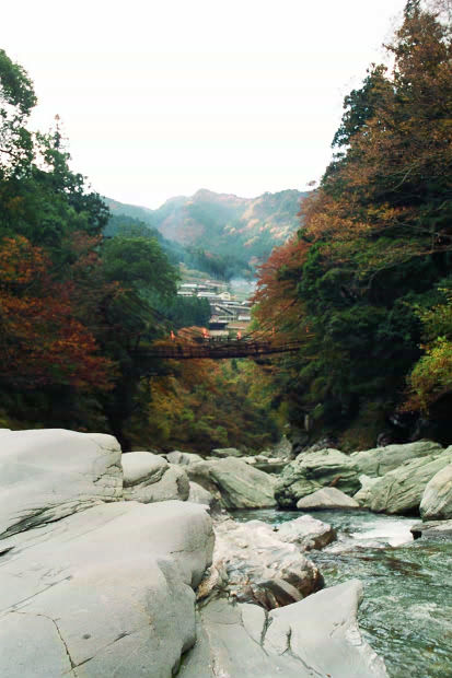 �c�J�̂����狴
(413�~620pixel,53.6KB)