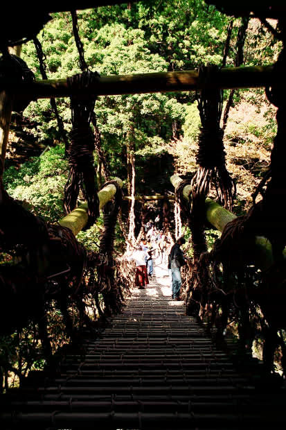 �c�J�̂����狴
(413�~620pixel,80.4KB)