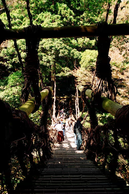 �c�J�̂����狴
(413�~620pixel,88.9KB)