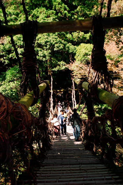 �c�J�̂����狴
(413�~620pixel,83.7KB)