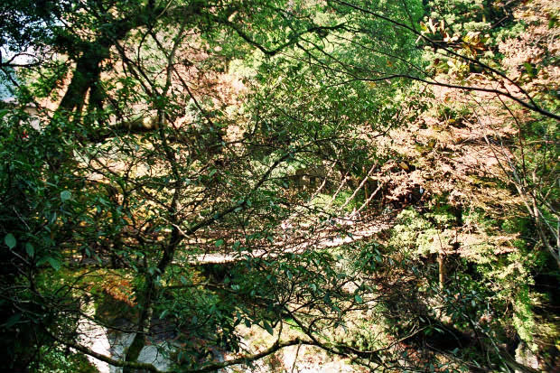 �c�J�̂����狴
(620�~413pixel,127.5KB)