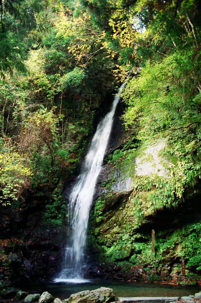 �c�J�̂����狴
(413�~620pixel,102.2KB)