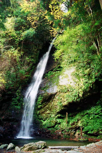 �c�J�̂����狴
(413�~620pixel,100.8KB)