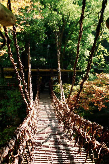 �c�J�̂����狴
(413�~620pixel,104.0KB)