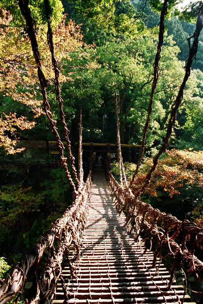 �c�J�̂����狴
(413�~620pixel,114.0KB)