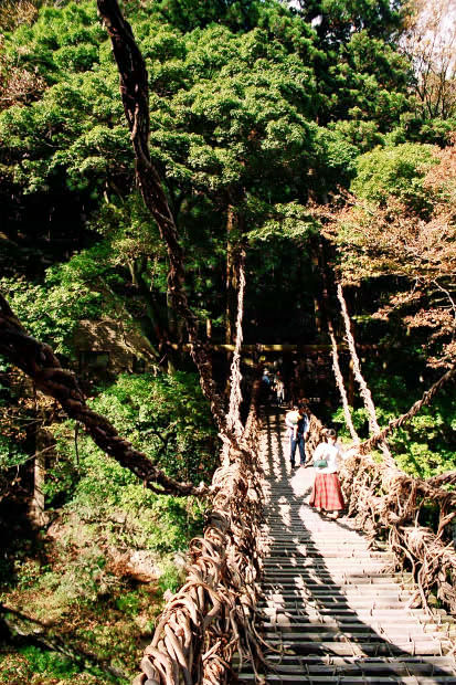 �c�J�̂����狴
(413�~620pixel,117.5KB)