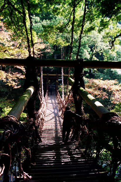 �c�J�̂����狴
(413�~620pixel,93.6KB)