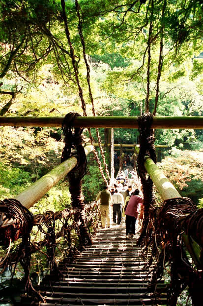 �c�J�̂����狴
(413�~620pixel,113.3KB)