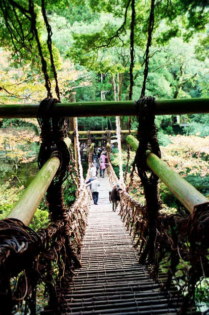 �c�J�̂����狴
(413�~620pixel,98.5KB)