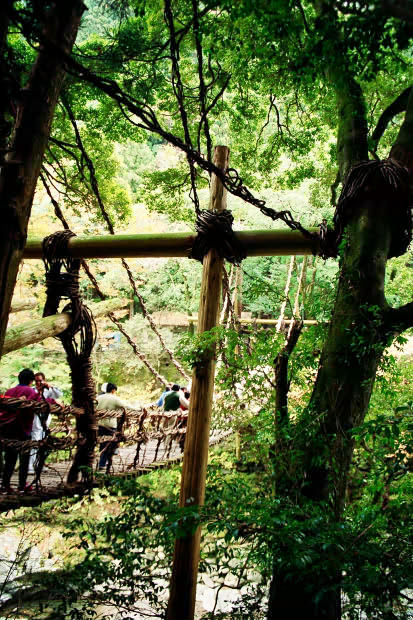 �c�J�̂����狴
(413�~620pixel,106.1KB)