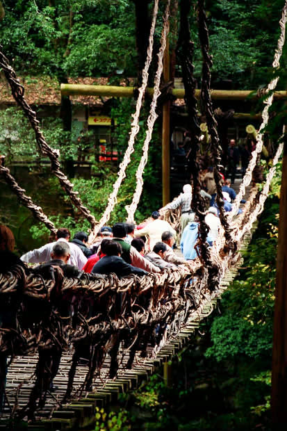 �c�J�̂����狴
(413�~620pixel,85.9KB)