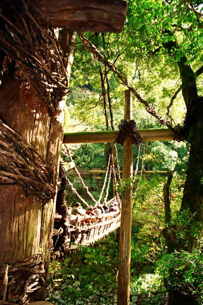 �c�J�̂����狴
(413�~620pixel,108.8KB)