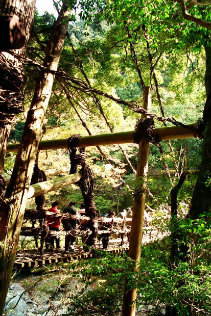 �c�J�̂����狴
(413�~620pixel,122.5KB)