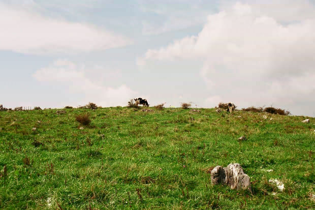 �l���J���X�g�E�Q�`����
(620�~413pixel,59.9KB)