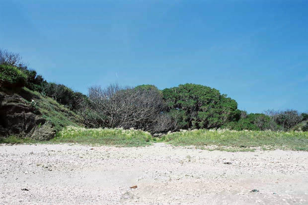 �P�[�^��
(620�~413pixel,42.6KB)