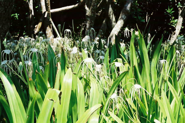 �P�[�^��
(620�~413pixel,74.0KB)