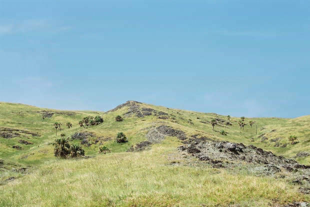 �P�[�^��
(620�~413pixel,36.8KB)