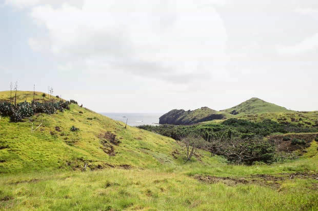 �P�[�^��
(620�~413pixel,39.3KB)