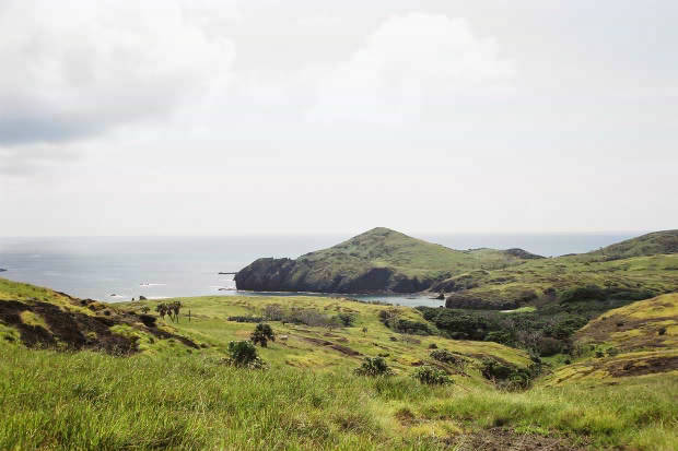 �P�[�^��
(620�~413pixel,34.7KB)