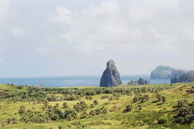 �P�[�^��
(620�~413pixel,36.3KB)