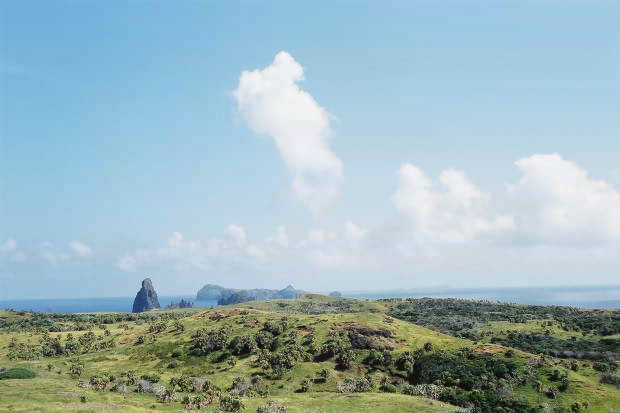 �P�[�^��
(620�~413pixel,29.1KB)