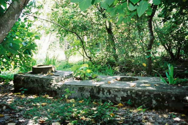 �P�[�^��
(620�~413pixel,87.8KB)