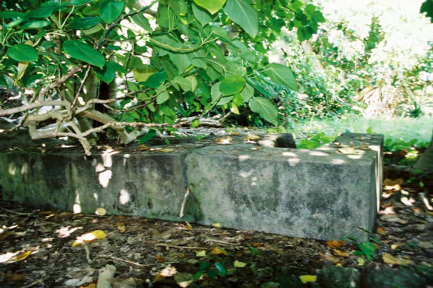 �P�[�^��
(620�~413pixel,73.5KB)