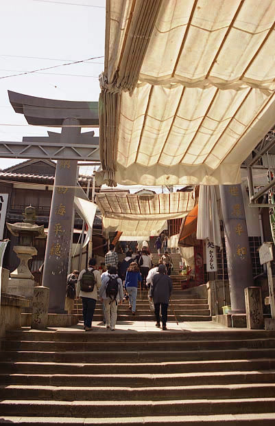 �Օ�
(401�~620pixel,66.1KB)