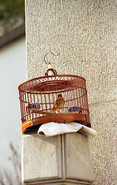 ���ׂ̒��̊X�A�㗴
(393�~620pixel,74.0KB)