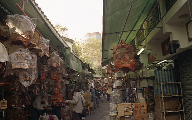 ���ׂ̒��̊X�A�㗴
(620�~389pixel,46.9KB)