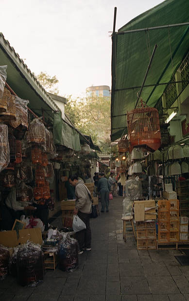 ���ׂ̒��̊X�A�㗴
(389�~620pixel,42.5KB)