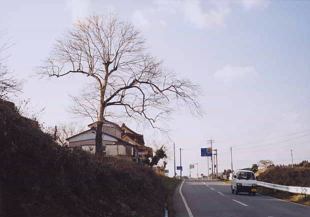 �哇
(620�~434pixel,36.8KB)