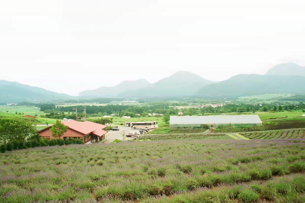 ��d���x���_�[��
(620�~413pixel,63.9KB)