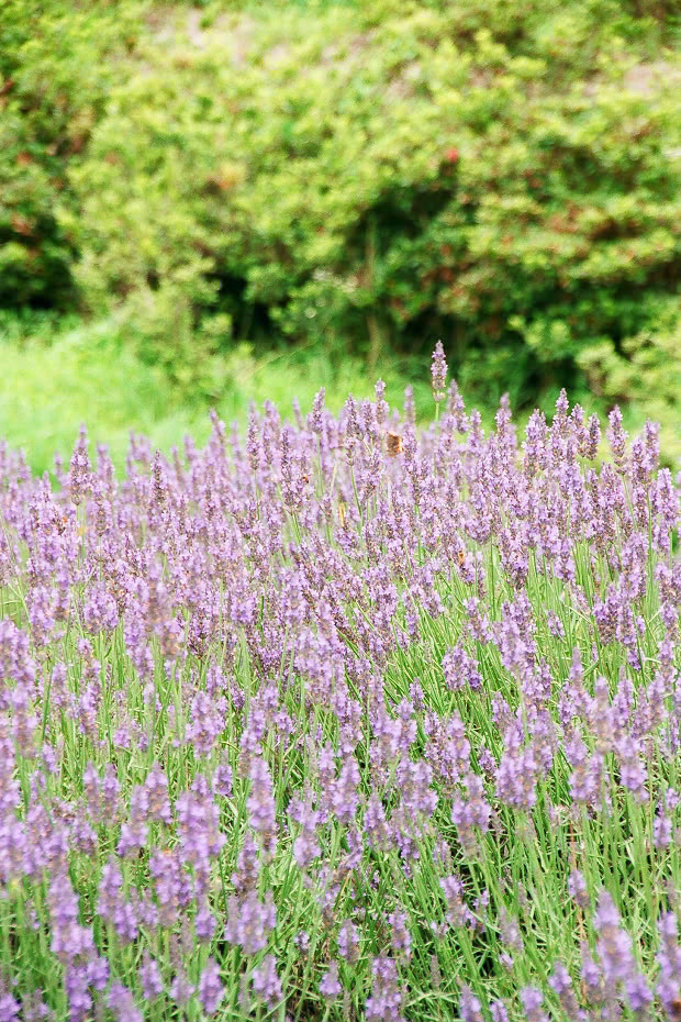 ��d���x���_�[��
(620�~930pixel,269.9KB)