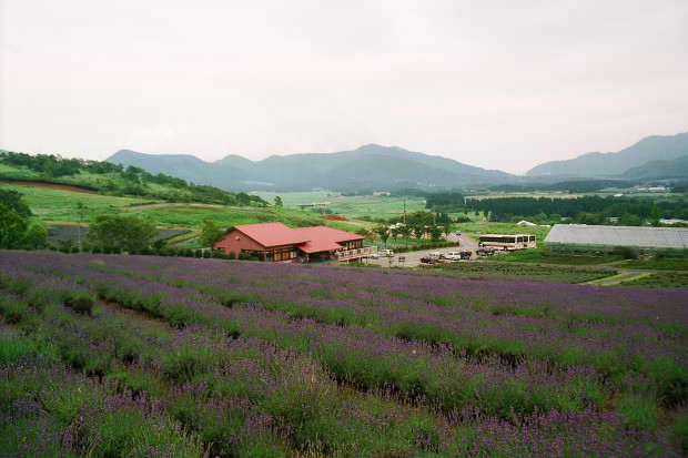 ��d���x���_�[��
(620�~413pixel,65.3KB)