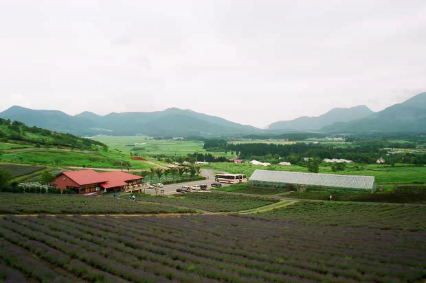 ��d���x���_�[��
(620�~413pixel,54.0KB)