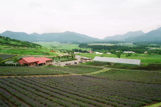 ��d���x���_�[��
(620�~413pixel,67.2KB)