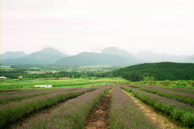 ��d���x���_�[��
(620�~413pixel,62.1KB)