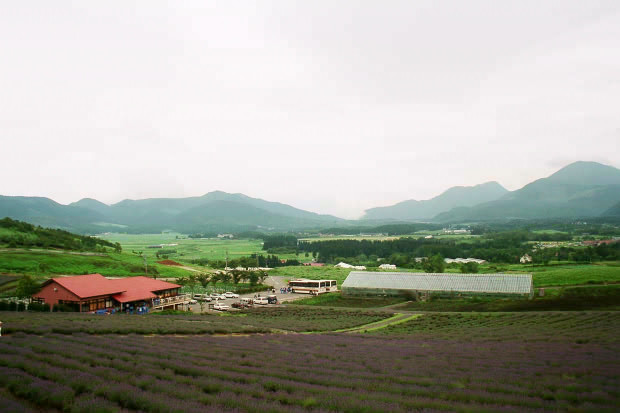 ��d���x���_�[��
(620�~413pixel,46.7KB)