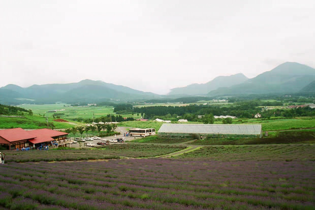 ��d���x���_�[��
(620�~413pixel,57.0KB)