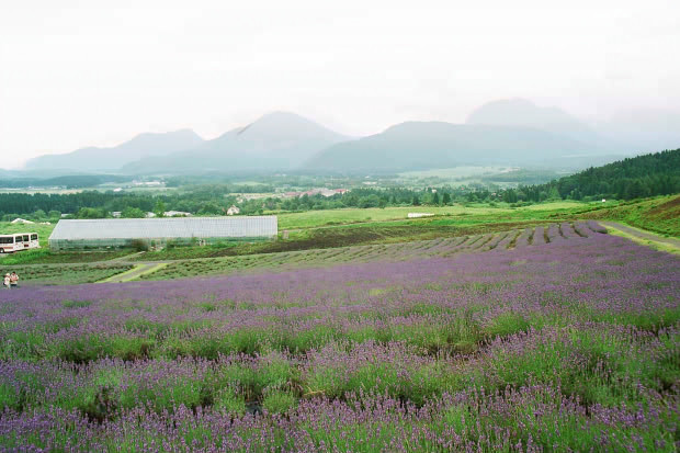 ��d���x���_�[��
(620�~413pixel,78.8KB)