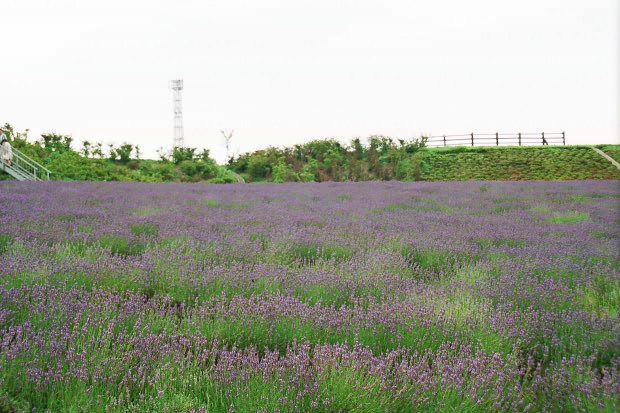 ��d���x���_�[��
(620�~413pixel,89.5KB)